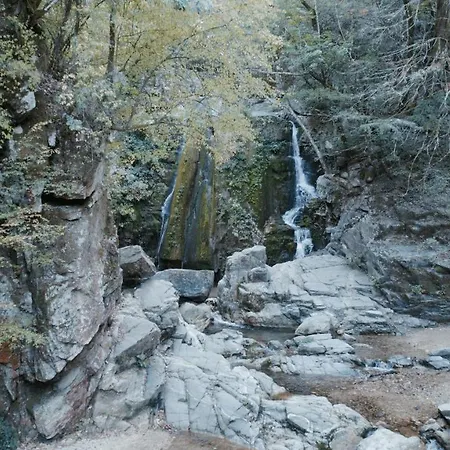 Alpe Luxury Penelope Collection アパートホテル 4*